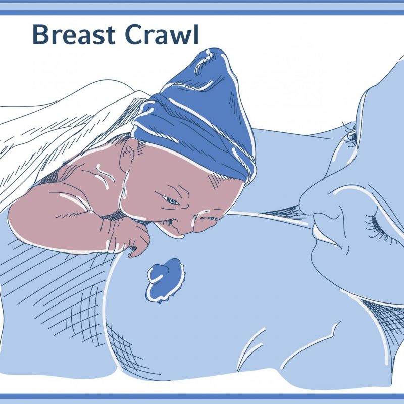 MOOC_U2_V11_G1_Breastcrawl_2